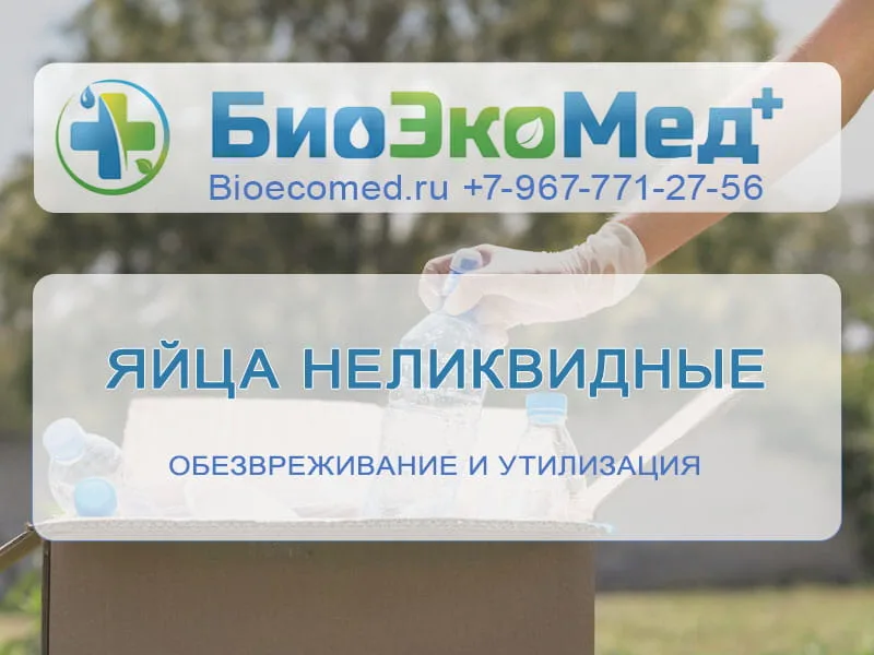 Яйца неликвидные